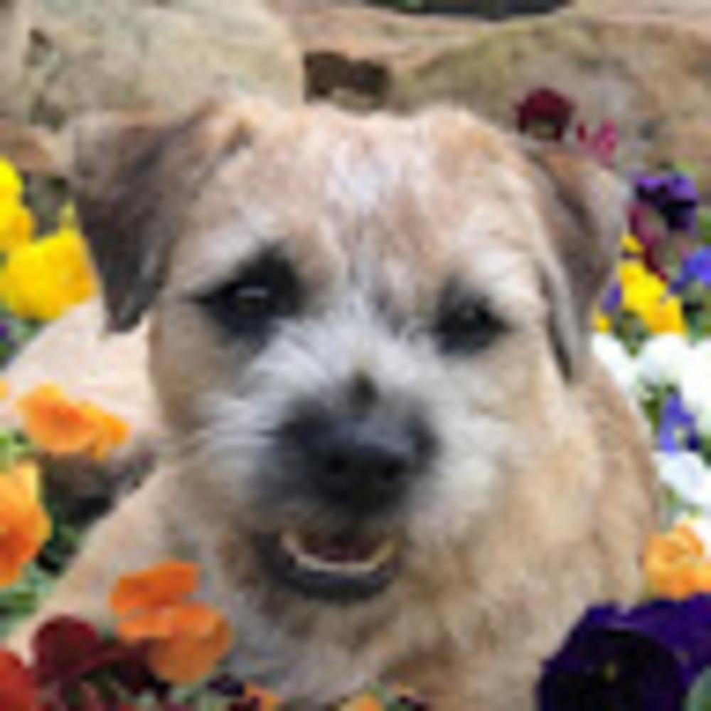 Meet your Posher, Pamela